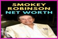 Amy Robinson Net Worth