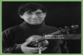 David Shapiro (musician)