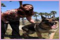 Megan Leavey Age, Birthday, Wikipedia, Who, Nationality, Biography