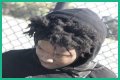 Swift Quis - Age, Family, Bio