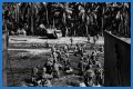 WWII's Most Daring Raids - Smithsonian Channel