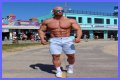“You’re an A**hole”: Bodybuilding Icon Joey Swoll Blasts at Tall Gym Guy Calling
Americans Short